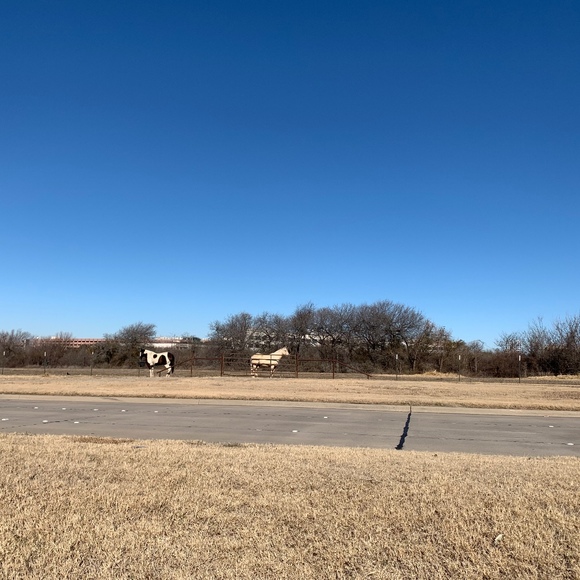 Meet your Posher, Olga - Picture 1 of 1